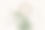 background2.png