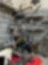 IMG_3305.jpeg