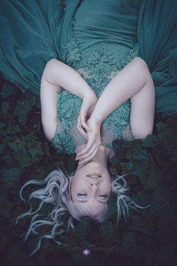_MG_3774_web