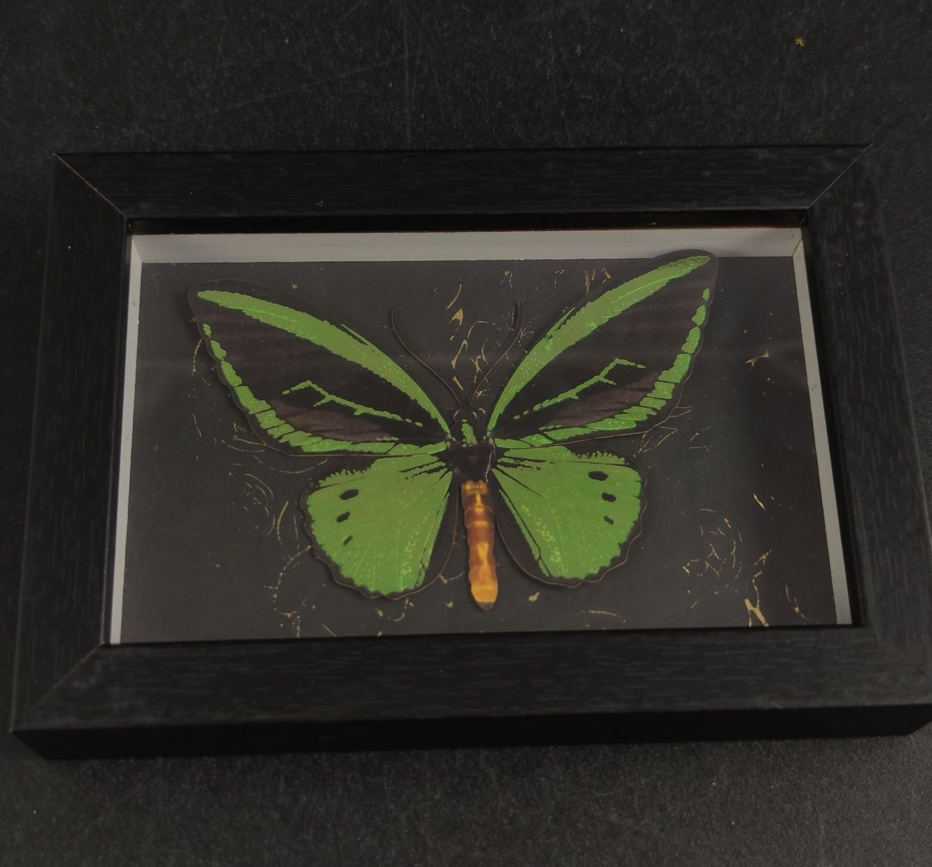 Gerahmter Schmetterling mit grünen und schwarzen Flügeln auf dunklem Hintergrund.