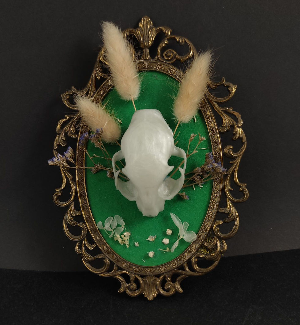 Weißer Tierschädel auf grünem Plaque in goldenem Rahmen mit Trockenpflanzen.