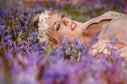 Flower Field