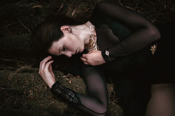 Model: Sve Bux