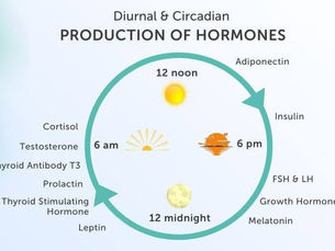 Hormones and sleep wake cycle