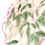 Thumbnail: Silk Print Pocket Circle Fabric
