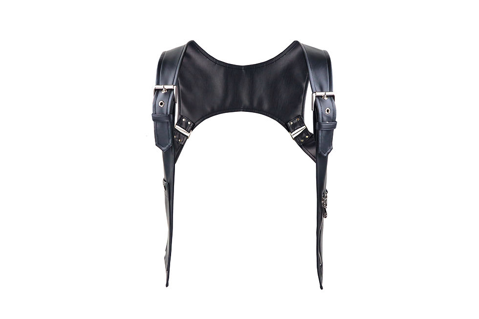Thumbnail: Accessory Holster