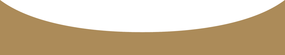 brown_strips-02-02_edited.png
