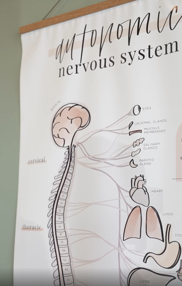 Why Nervous System Repair Must Come Before Regulation