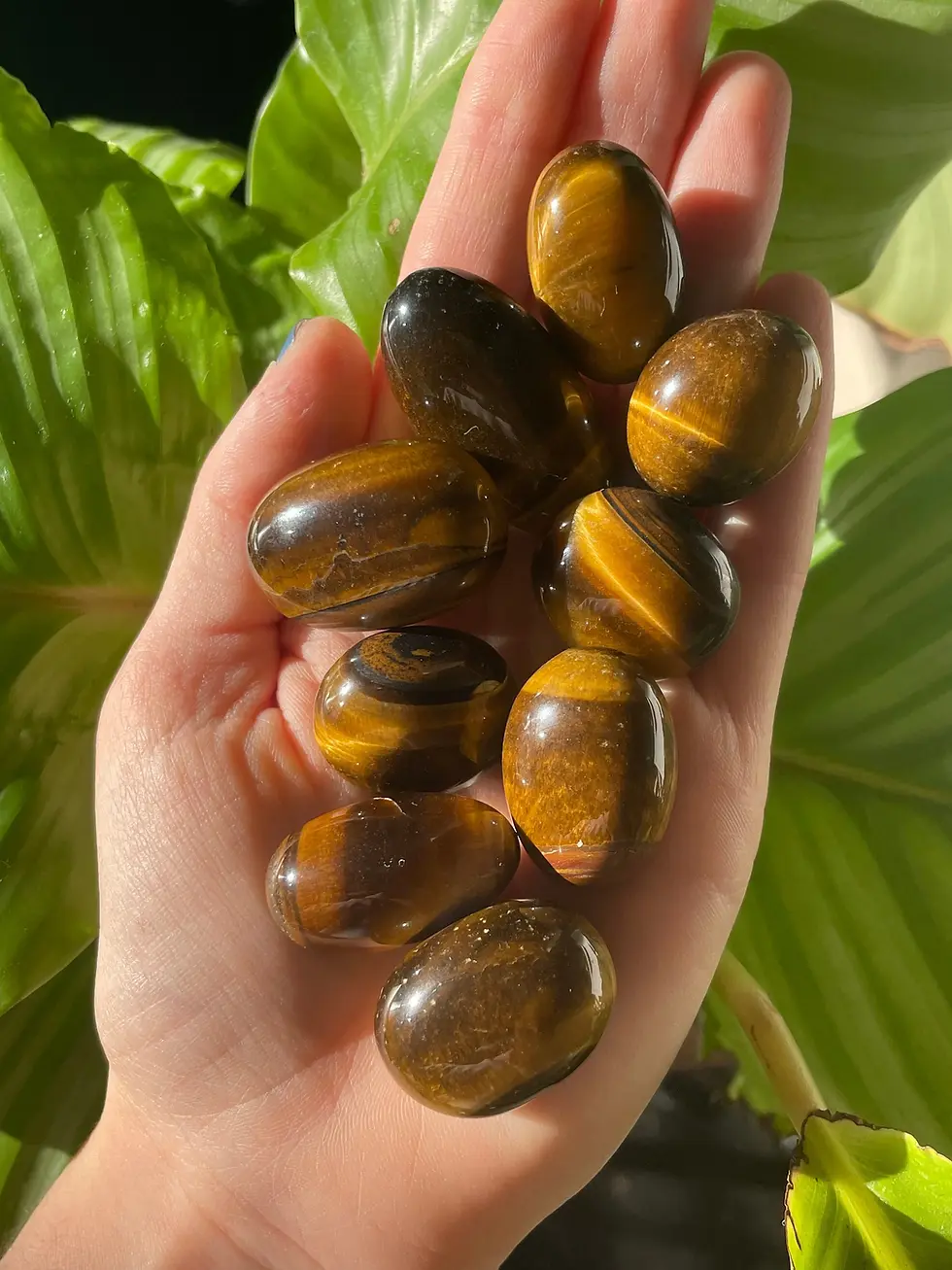 tigers eye tumble stones glistening under natural sunlight