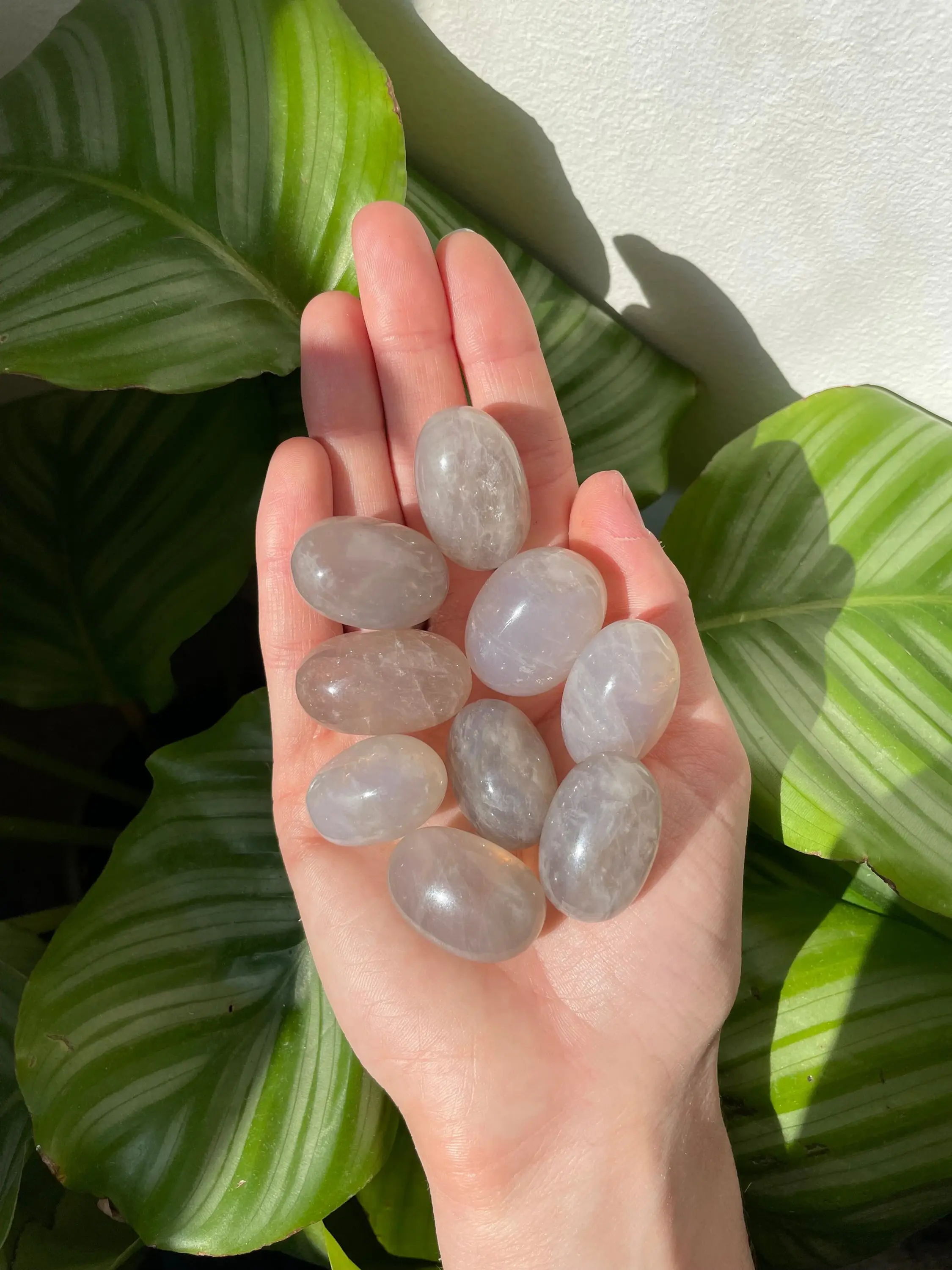 Blue Rose Quartz Tumblestones