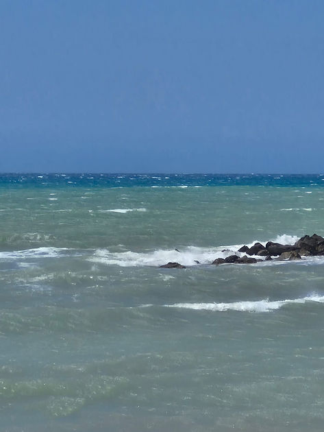 mare2.jpeg