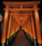 Orange arch passsage way reminiscent of Fushima Inari Shrine