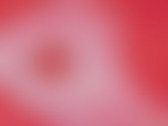 SANG WOO KIM: Softness, Seen Clearly