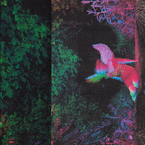 Hallie Tut: Neon Dreams and Digital Realities