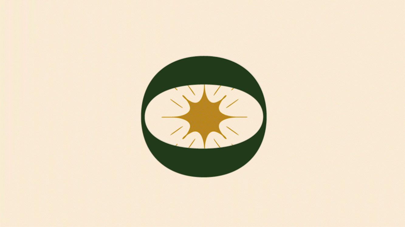 Logo gif.gif
