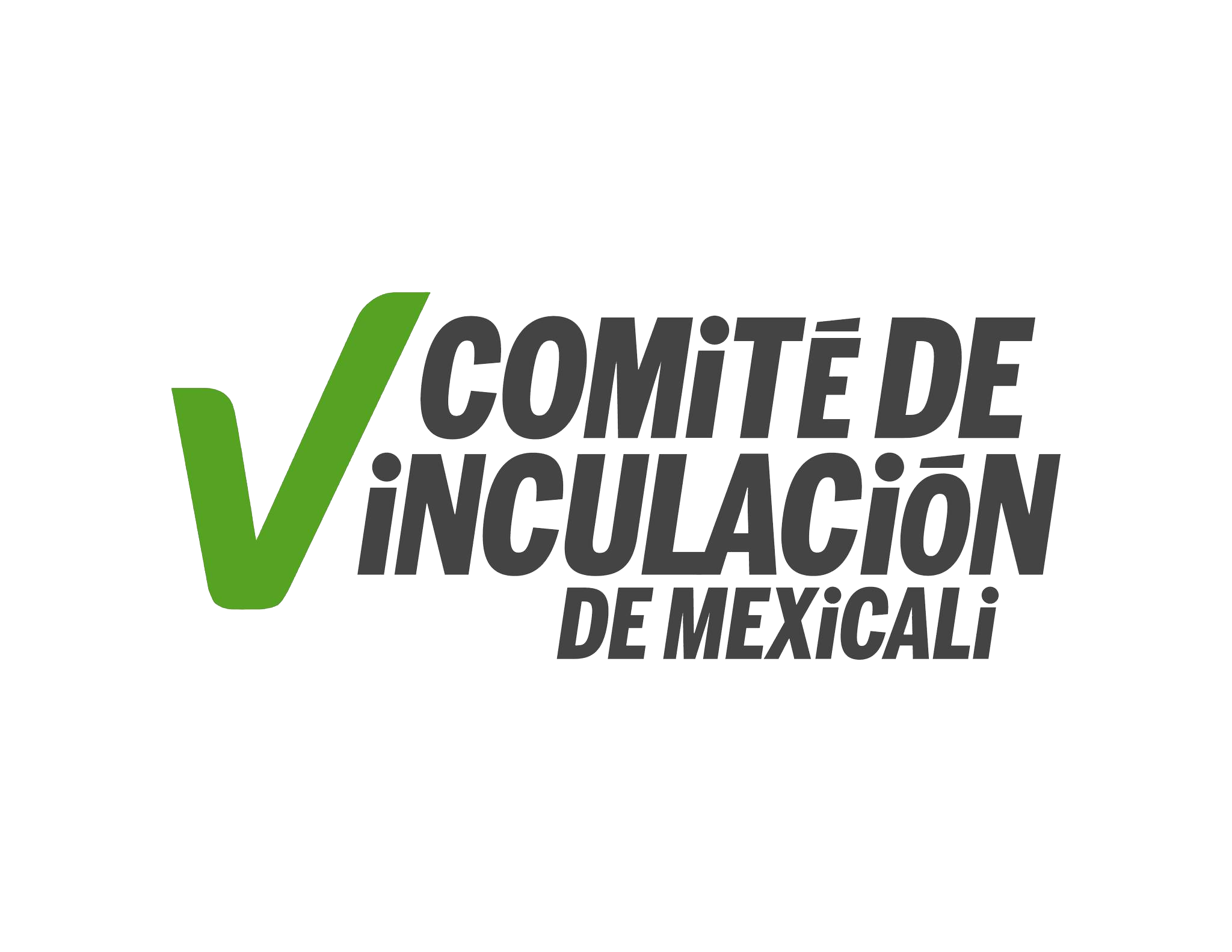 Foto del escritor: Comité de vinculación de Mexicali 