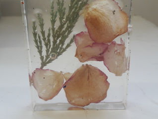 Petals and Shells