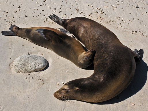 Galápagos Islands