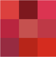 Seeing Red in 2024