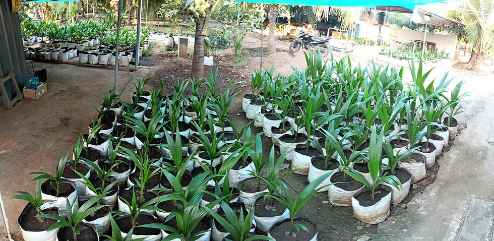 Thumbnail: Omkara's Aromatic coconut