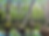 Thumbnail: Paintin' USA Postcard Sponsor