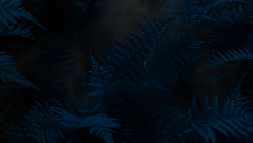 Untitled design (17).png