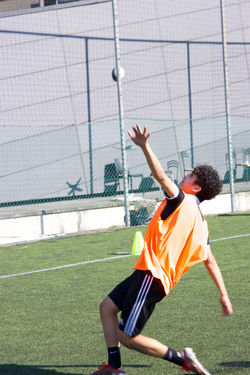 D74E54FF-2FC5-4E06-85AB-07B863168EB1_1_100_o.jpeg