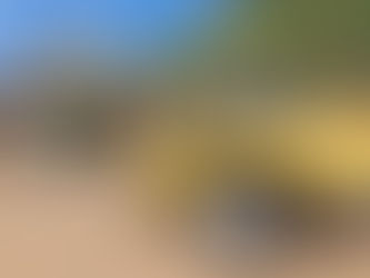 Passeio de Buggy Guiado: Grupo TOP+ anuncia novidade