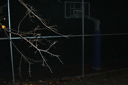 IMG_4302