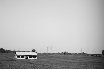 IMG_2353
