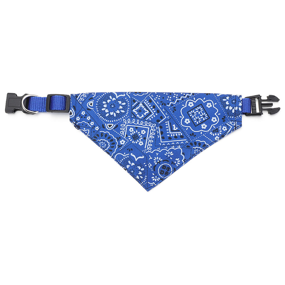 Thumbnail: Perfect Fit Pet Bandana