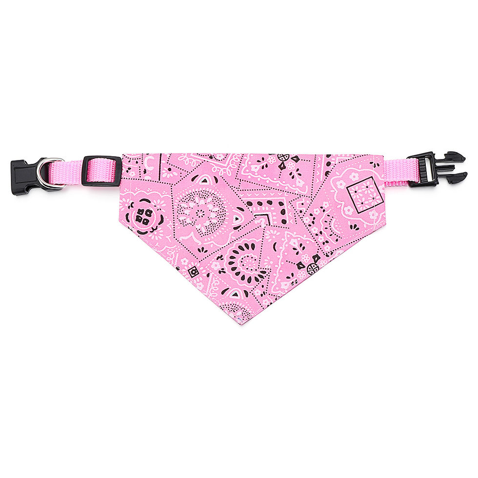 Thumbnail: Perfect Fit Pet Bandana