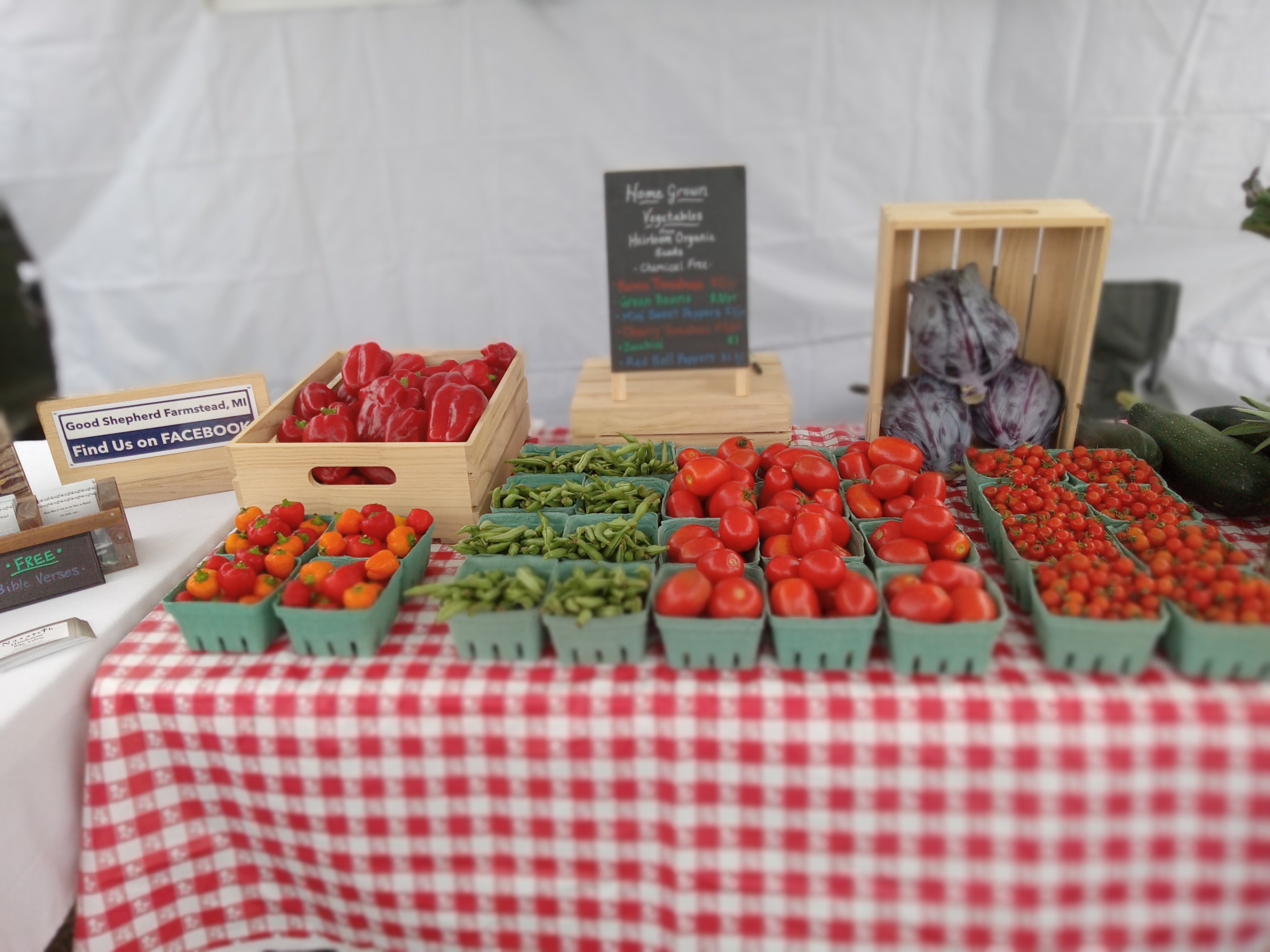 Arranged Food and Objects