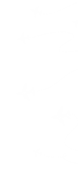 Untitled-Artwork (2).PNG