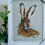 Thumbnail: Rosehip, Hare Picture