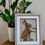 Thumbnail: Arthur, Rabbit Picture
