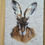 Thumbnail: Buttons, Hare Picture