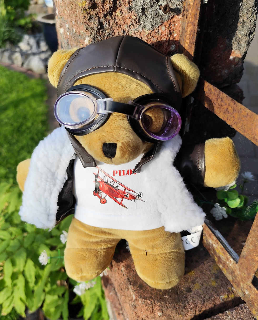 Thumbnail: Red BÄRon Teddy Pilot 