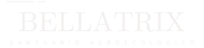 Santuário Bellatrix (Post do Instagram) (2).png