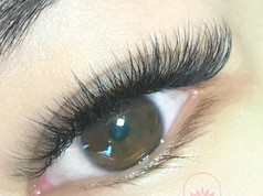 Luxury Lashes
