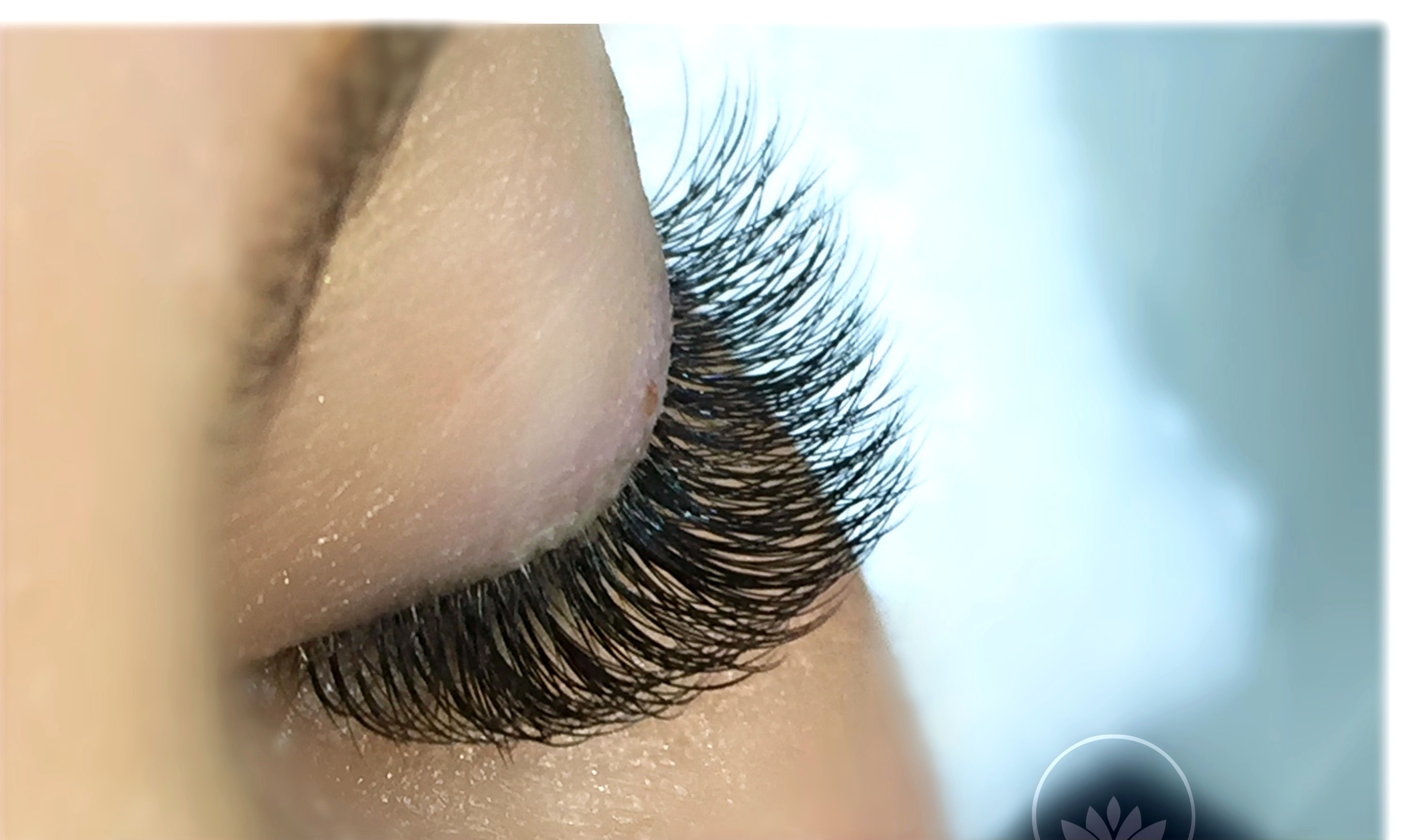 eye candy lashes eye candy lashes