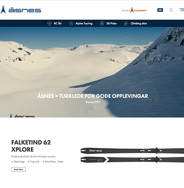 asnes-web.png
