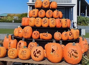 Pumpkins for Halloween