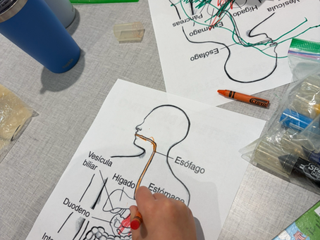How to Start Homeschooling in Spanish (A Complete Guide for Families)