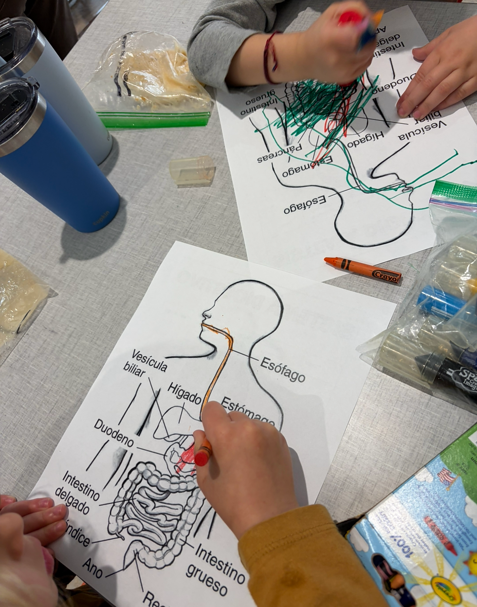 How to Start Homeschooling in Spanish (A Complete Guide for Families)