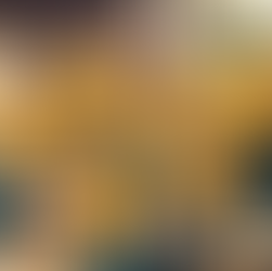 Join Our Team: Volunteer Opportunities Available Now