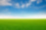 Green meadows with blue sky and clouds background._edited.jpg
