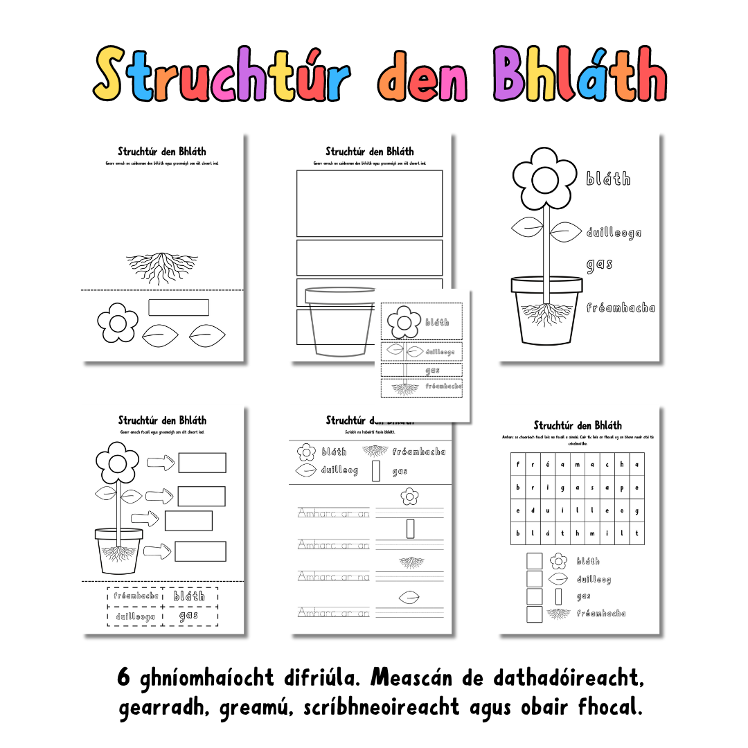 Struchtúr den Bhláth