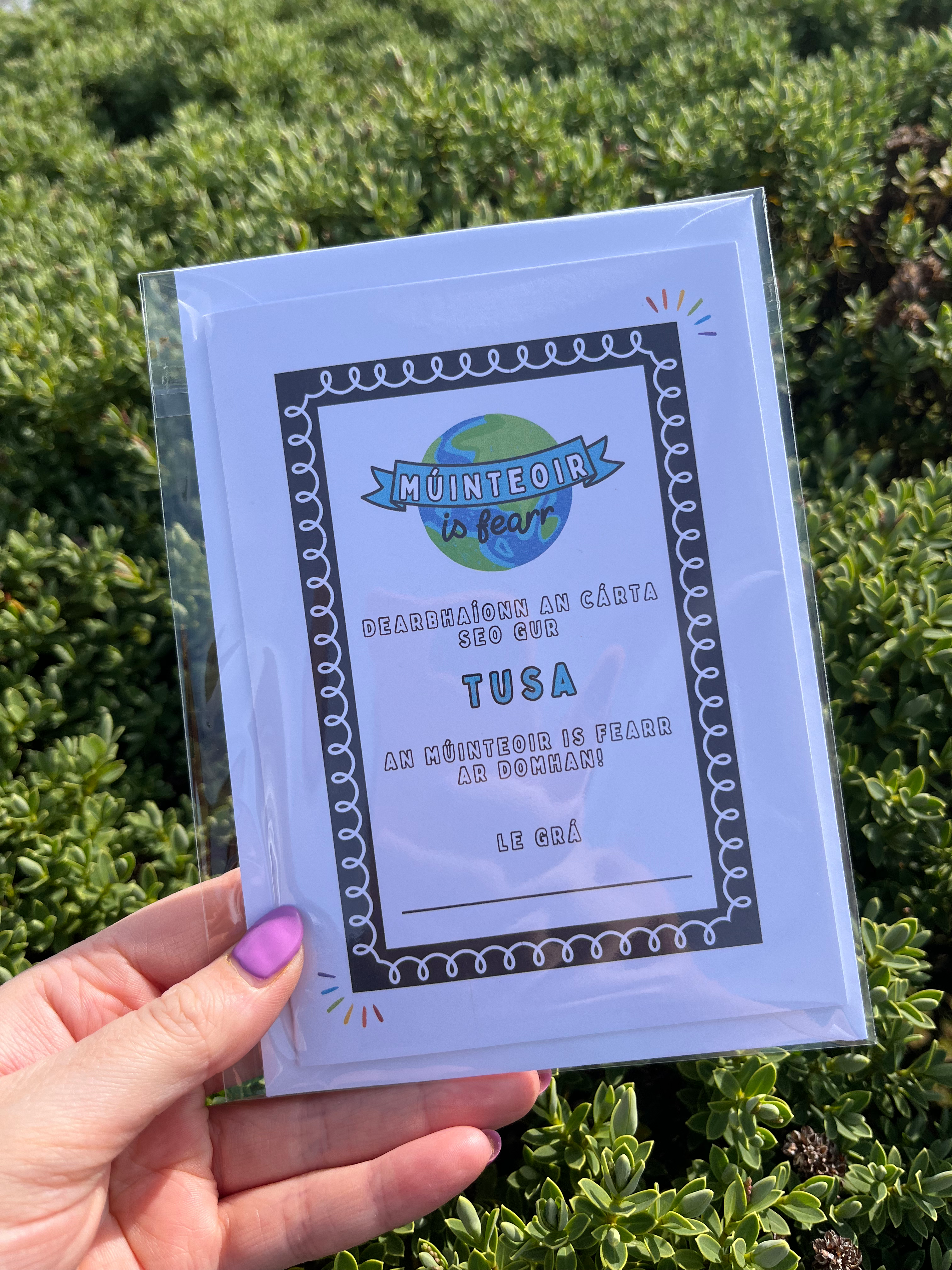 Best teacher / classroom assistant certificate