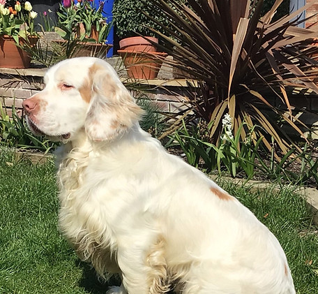 Charley.jpeg